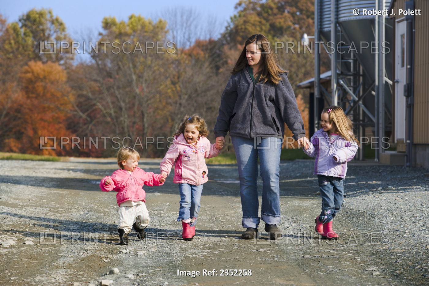 Agriculture - A farm woman walks with her three young daughters along a gravel ...