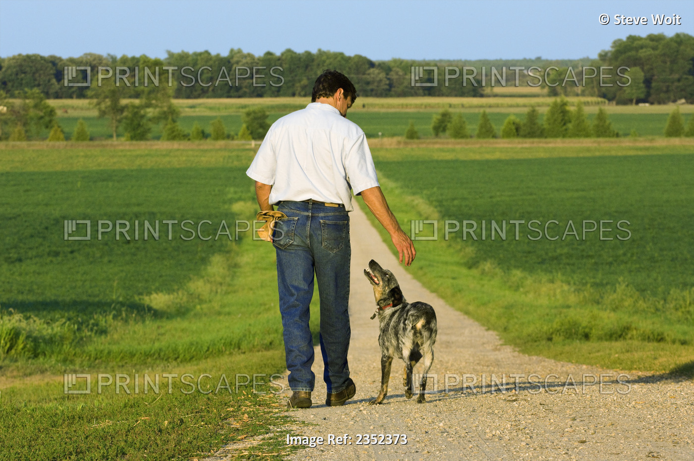 Agriculture - A farmer walks along a gravel farm road with his dog late in the ...