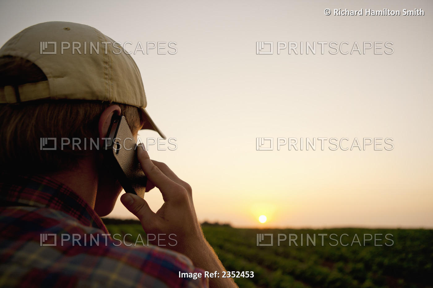 Agriculture - A young farmer in a soybean field at sunset talking on his Apple ...