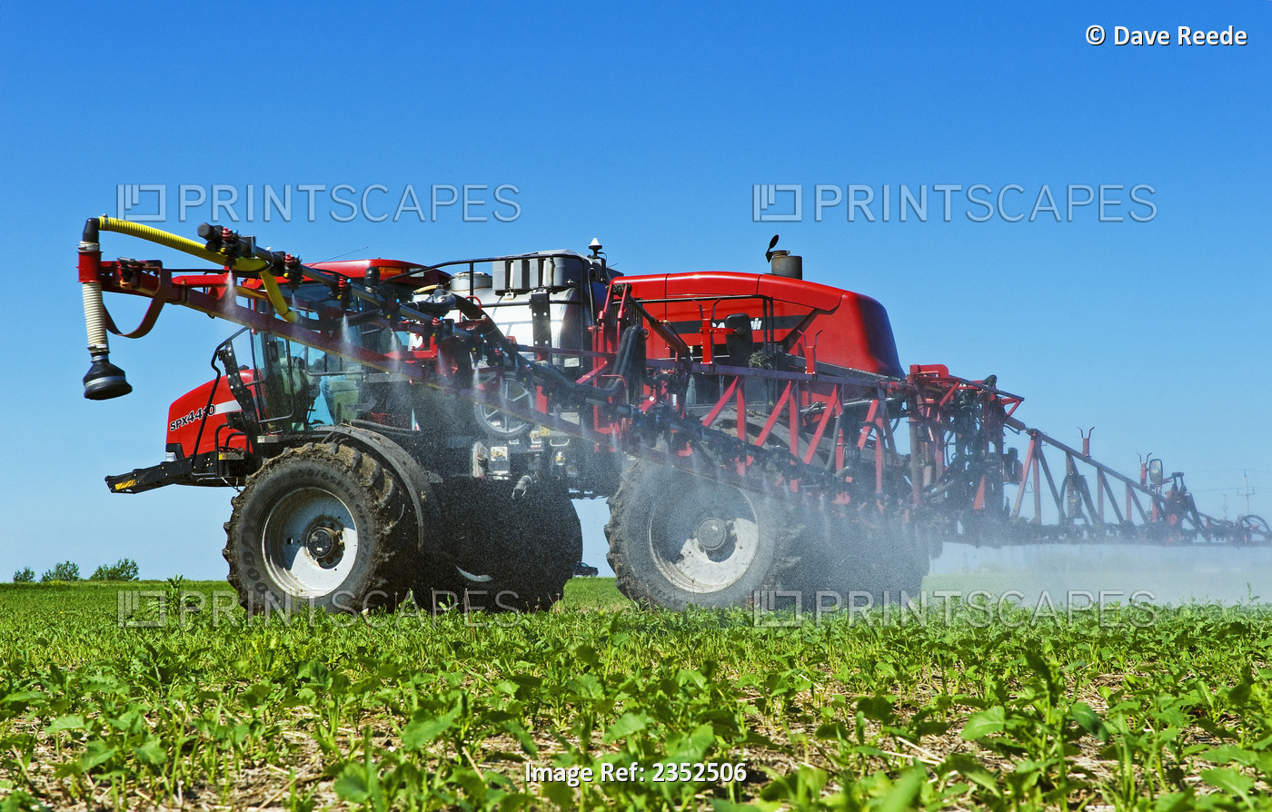 Agriculture - A high clearance Case IH sprayer applies herbicide to a crop of ...