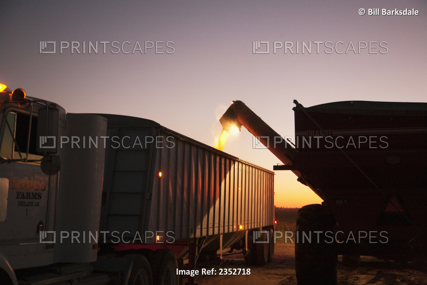 Agriculture - Unloading freshly harvested soybeans from a grain cart to a ...