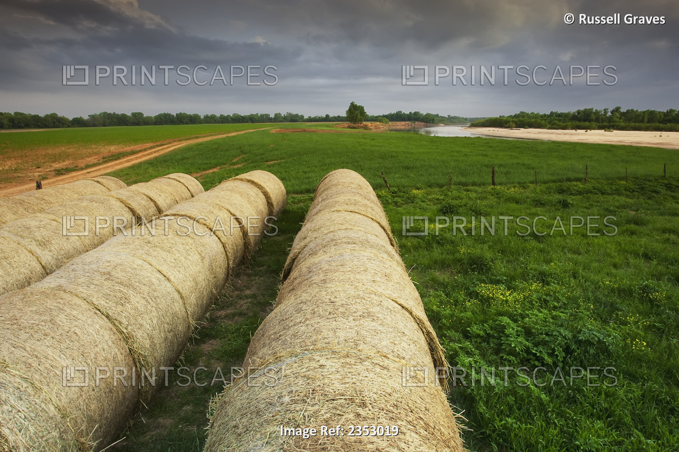Agriculture - Round hay bales lined up on the edge of a hay field / near Paris, ...