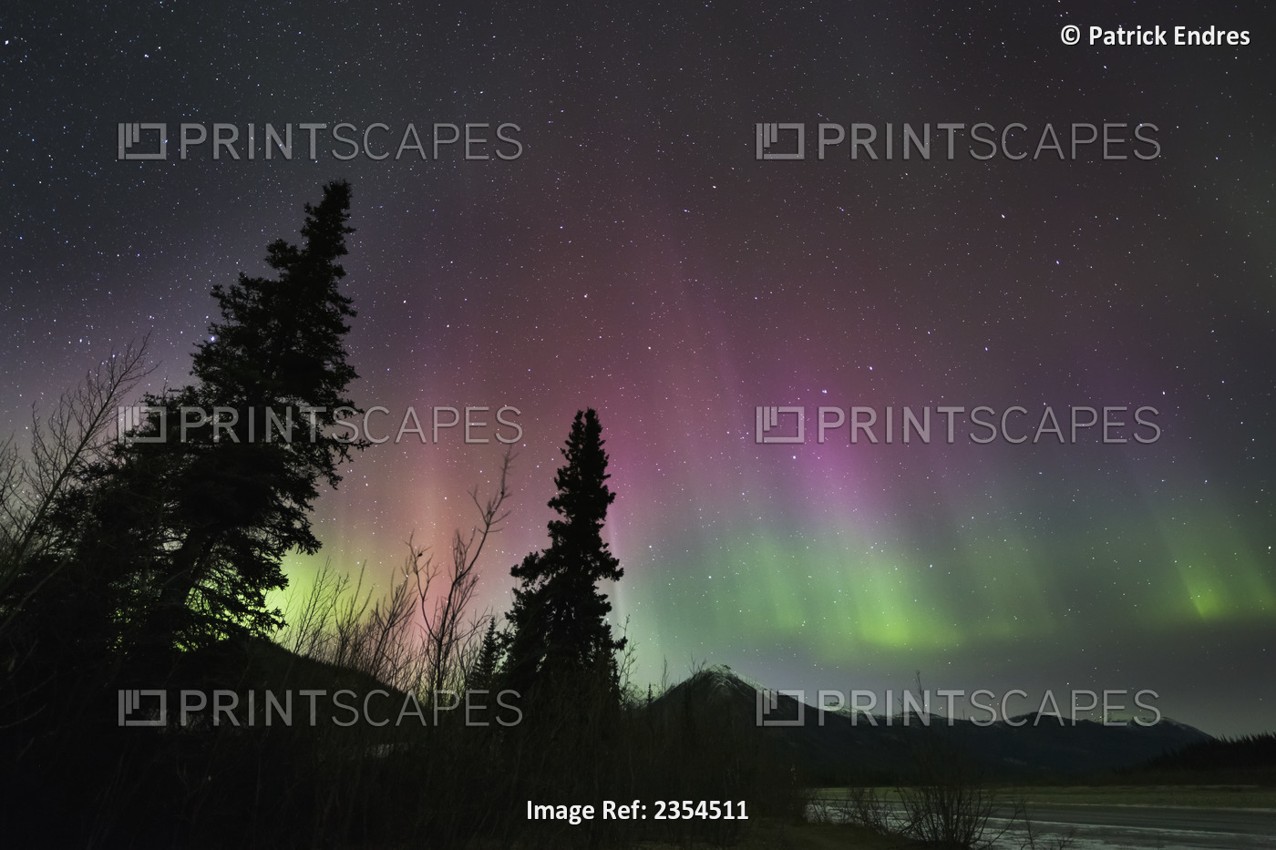 Colorful Magenta And Green Aurora Borealis Lights The Night Sky In Alaska's ...