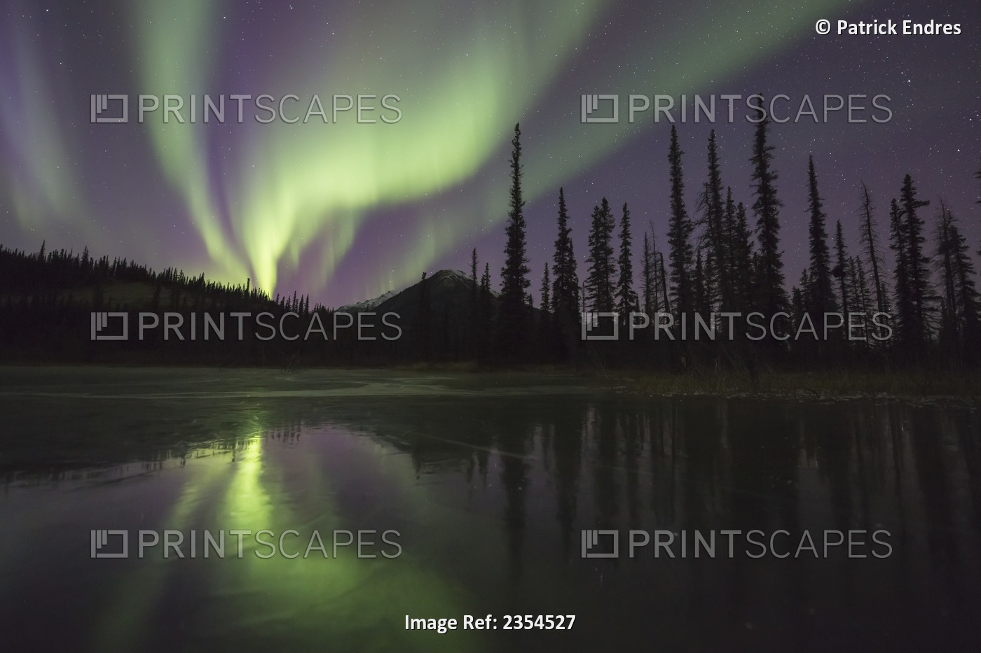 The Aurora Borealis Reflects On The Icy Surface Of A Frozen Pond In Alaska's ...