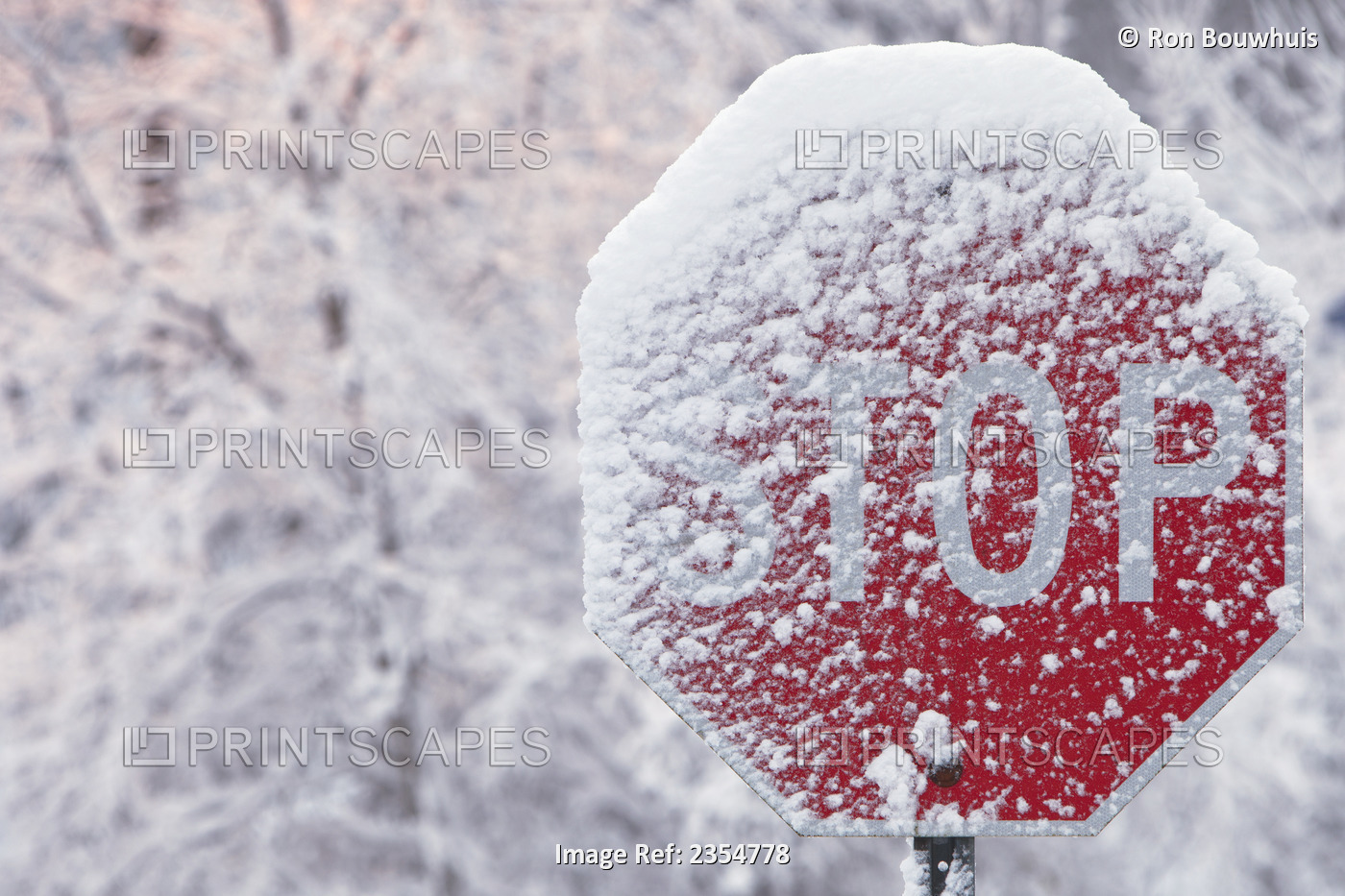 Stop Sign Covered With Snow In Winter; Limehouse, Ontario, Canada
