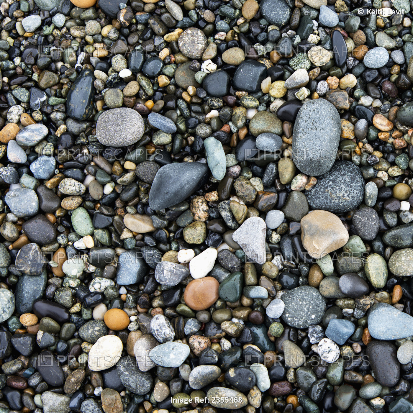 Wet Rocks On The Beach; Oak Harbor, Washington, United States Of America