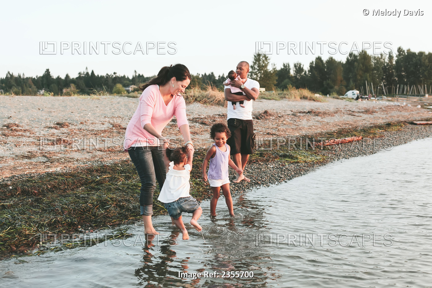 Interracial Family Wading In Water By Beach; British Columbia, Canada