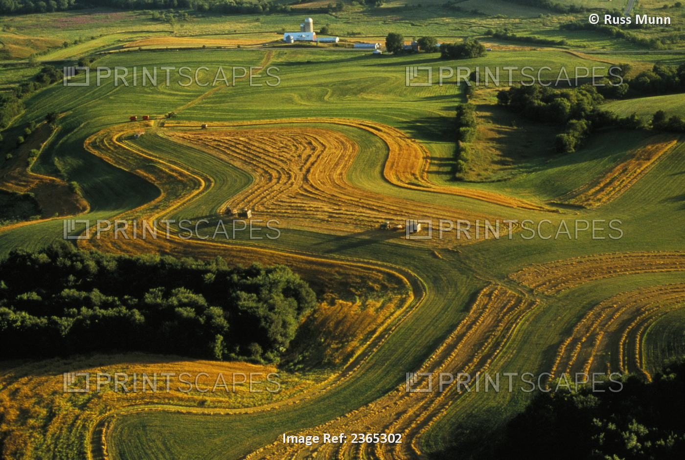 Agriculture - Aerial, tractors and balers baling barley straw which has been ...