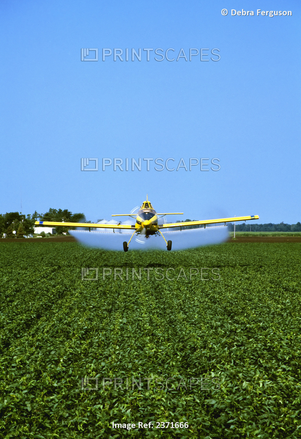 Agriculture - Aerial pesticide application on a mid growth soybean field / ...