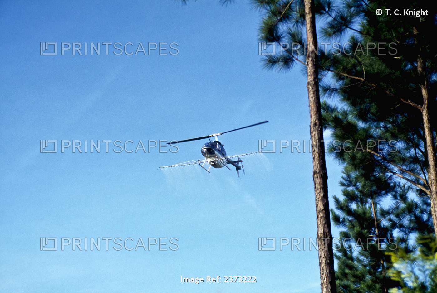 Agriculture - A helicopter applies forestry herbicides on a loblolly pine ...