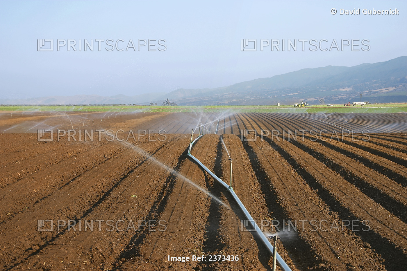 Agriculture - Sprinkler irrigation of a newly planted lettuce field / Salinas ...