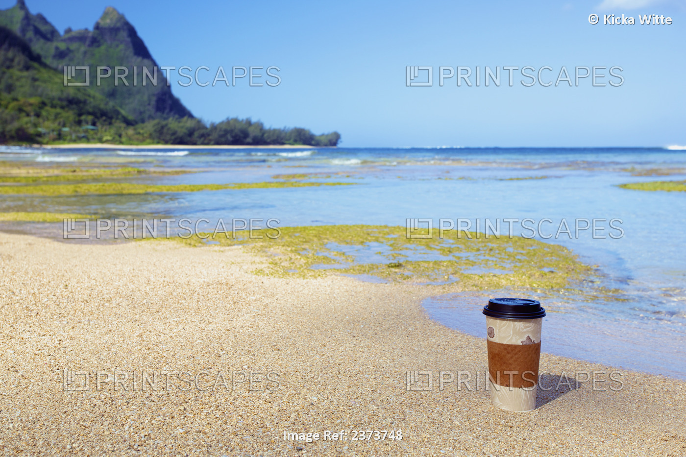 A Paper Coffee Cup Sitting On The Sand At The Water's Edge; Kauai, Hawaii, ...