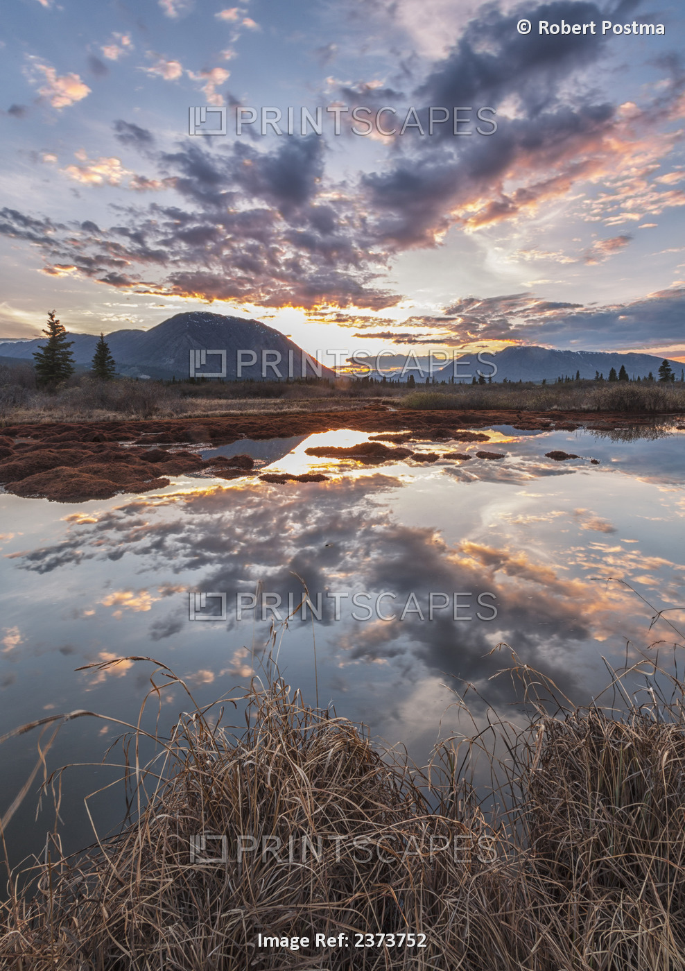 The Sunset And Goat Mountain Are Being Reflected Into An Unnamed Pond Along The ...