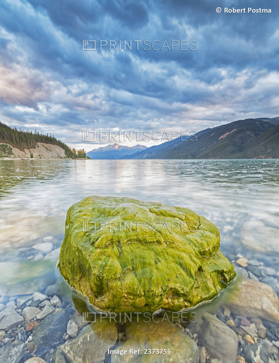 Algae Covered Rock In Muncho Lake; British Columbia, Canada