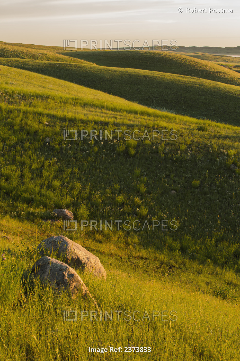 The Gentle Rolling Hills Of Grasslands National Park Illuminated By The Setting ...