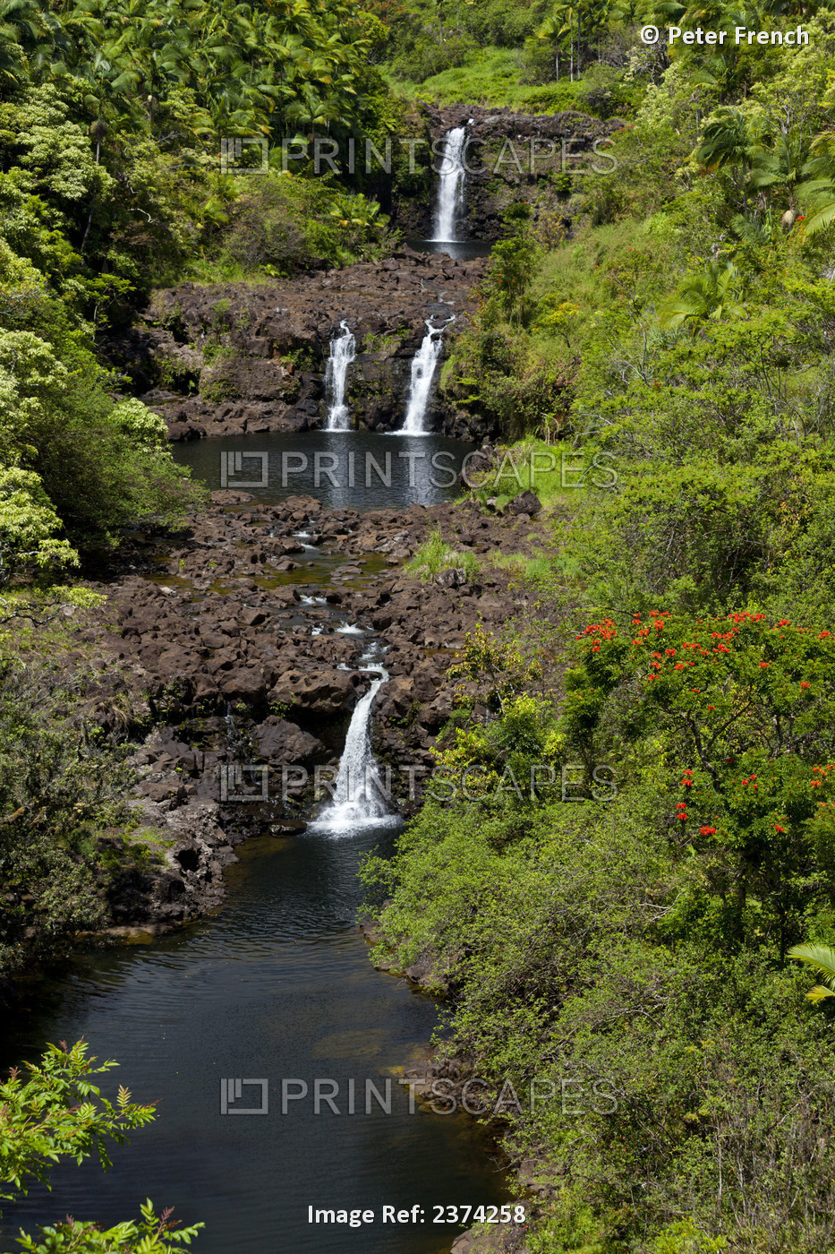 Umauma Falls; Island Of Hawaii, Hawaii, United States Of America