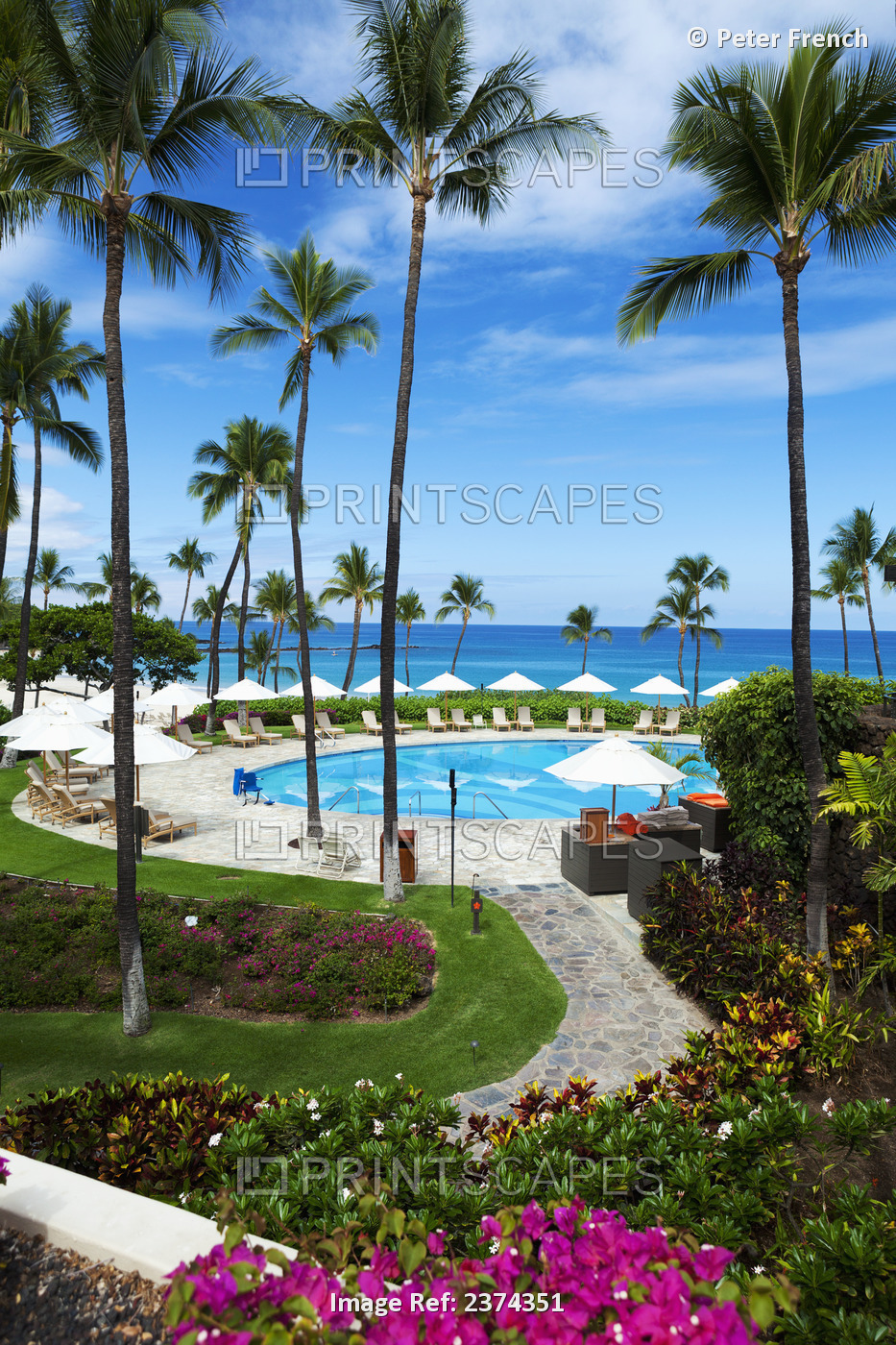 Swimming Pool At A Resort On The South Kohala Coast; Big Island, Hawaii, United ...