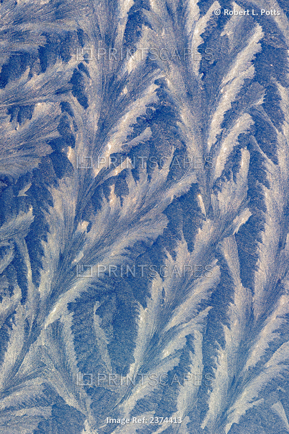 Frost Makes Patterns On A Car Window; Astoria, Oregon, United States Of America