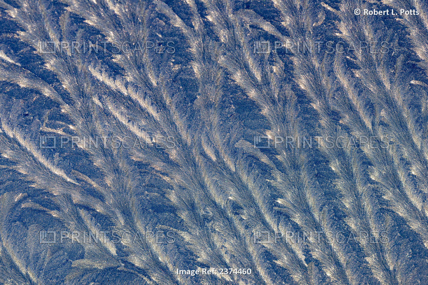 Frost Makes Patterns On A Car Window; Astoria, Oregon, United States Of America
