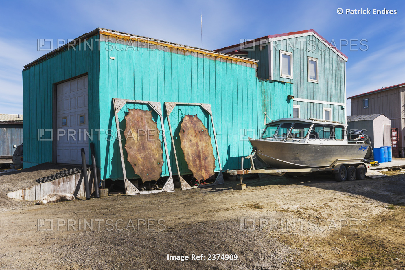 Seal Skins Dry On A Stretcher Against A Building In Barrow, Arctic Alaska.