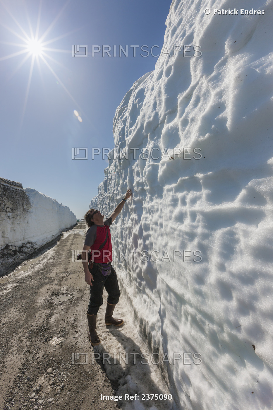 Man Views The Remnant Snow Drifts Along The Copper River Highway That Transects ...