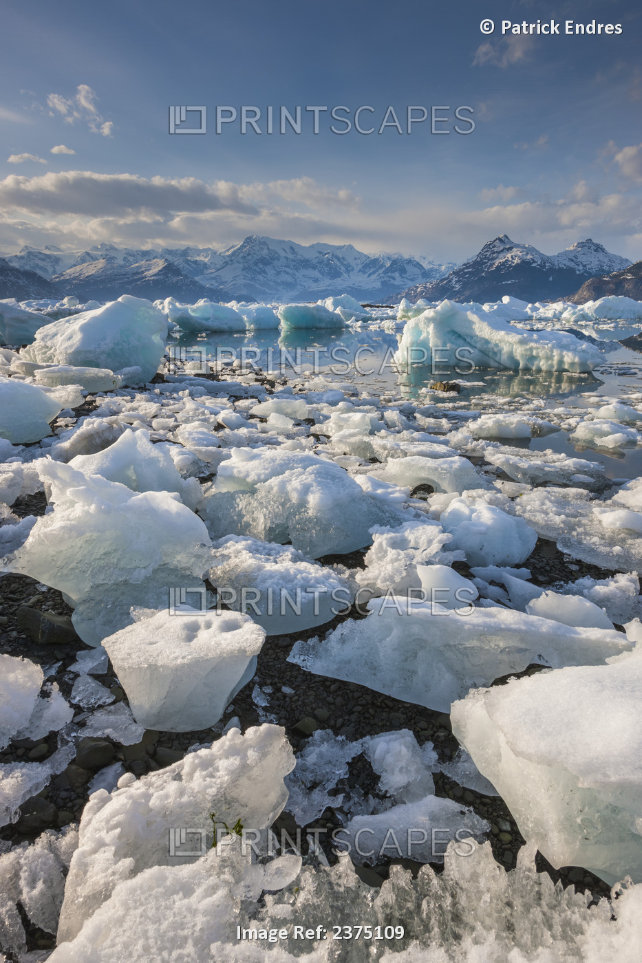 Icebergs From The Columbia Glacier Fill Columbia Bay In Northern Prince William ...