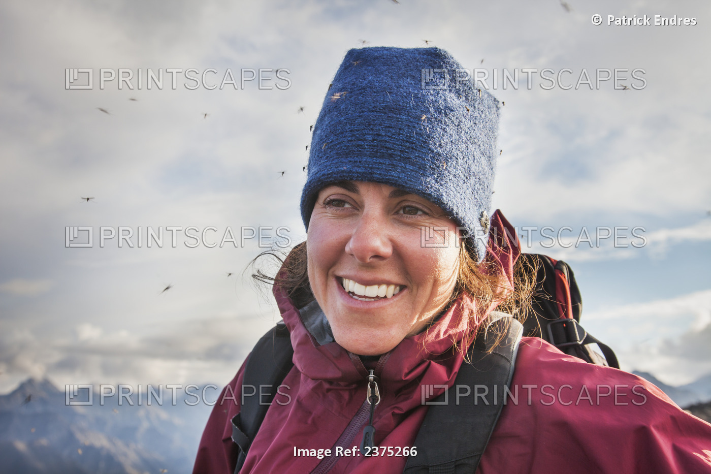 Mosquitoes Swirl Around A Hiker In The Brooks Range Mountains Bordering The ...