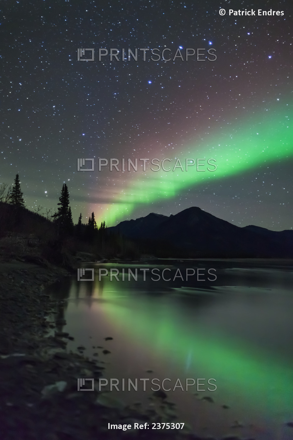 Green And Violet Bands Of Aurora Borealis Reflect In The Koyukuk River In The ...