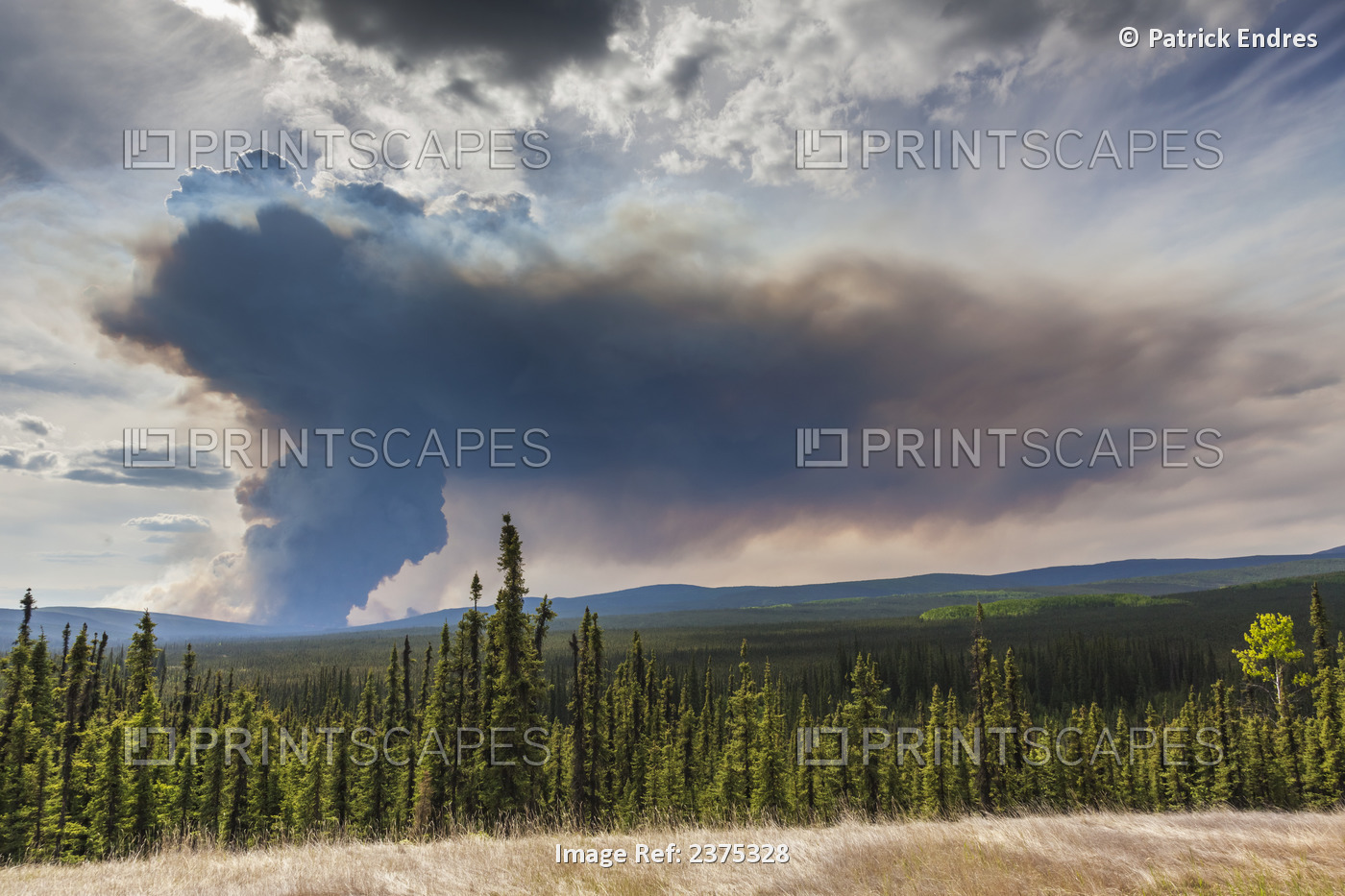 Columns Of Smoke Rise From The Boreal Forest Of Spruce And Hardood Trees In ...