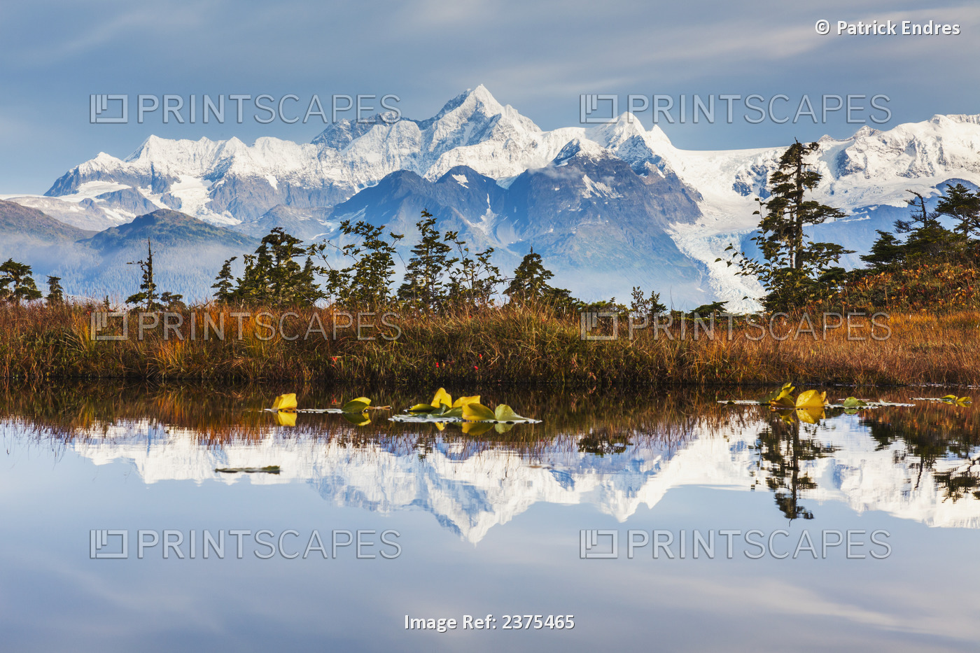Port Wells, Mt Gilbert Of The Chugach Mountains Reflects In A Tundra Pond, ...
