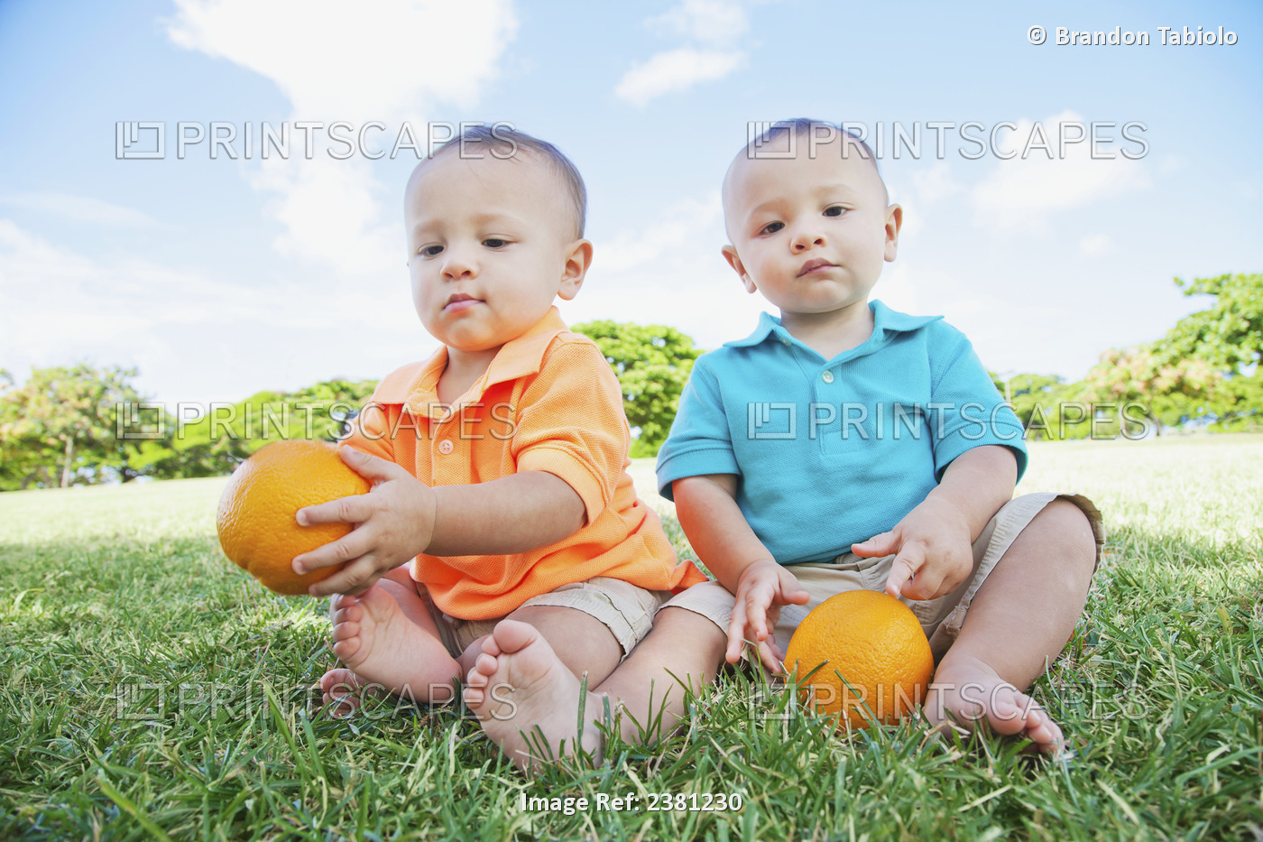 Twin Toddler Boys Sitting Down At A Park Holding Oranges; Honolulu, Oahu, ...