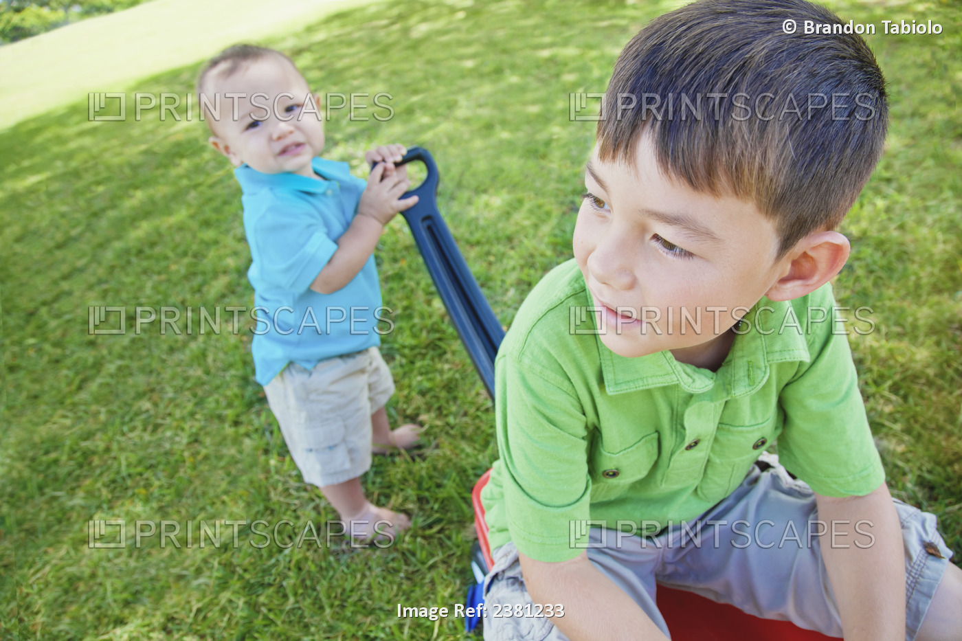 A Young Boy Pulling A Wagon In The Park With His Big Brother In It; Honolulu, ...