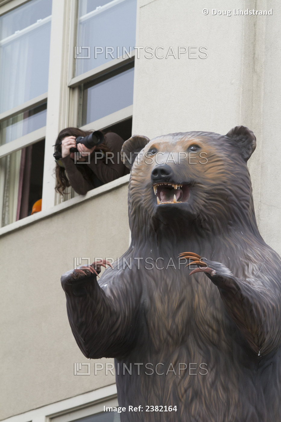 A Photographer Leans Out A Window At Grizzly's Gifts On 4th Ave. To Photograph ...