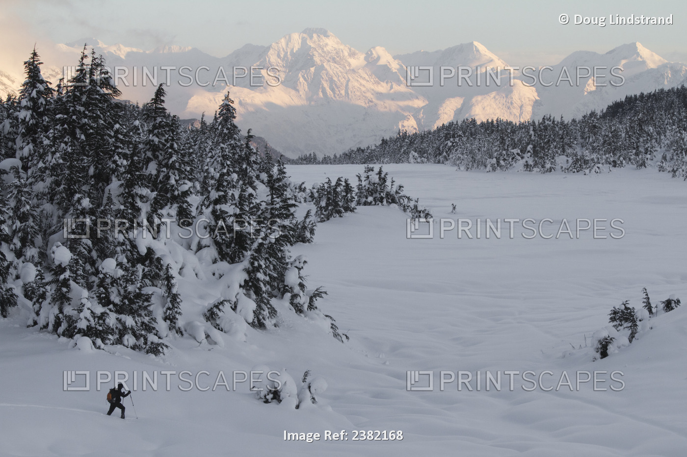 A Lone Skier In The Turnagain Pass Area Near Mile 69 Of The Seward Highway And ...
