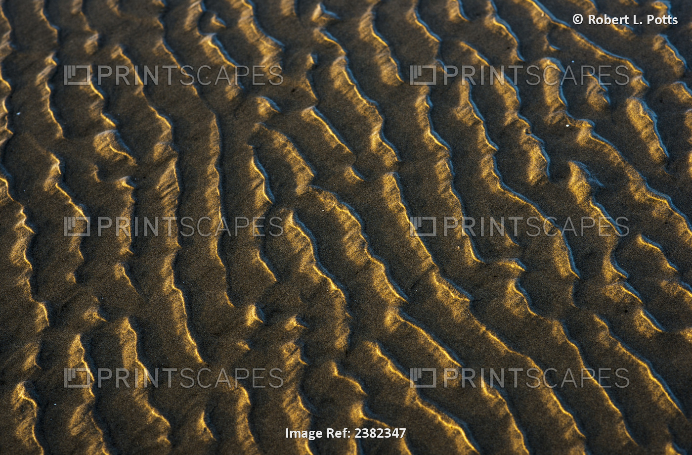 Low Tide Reveals Patterns On The Beach; Cannon Beach, Oregon, United States Of ...