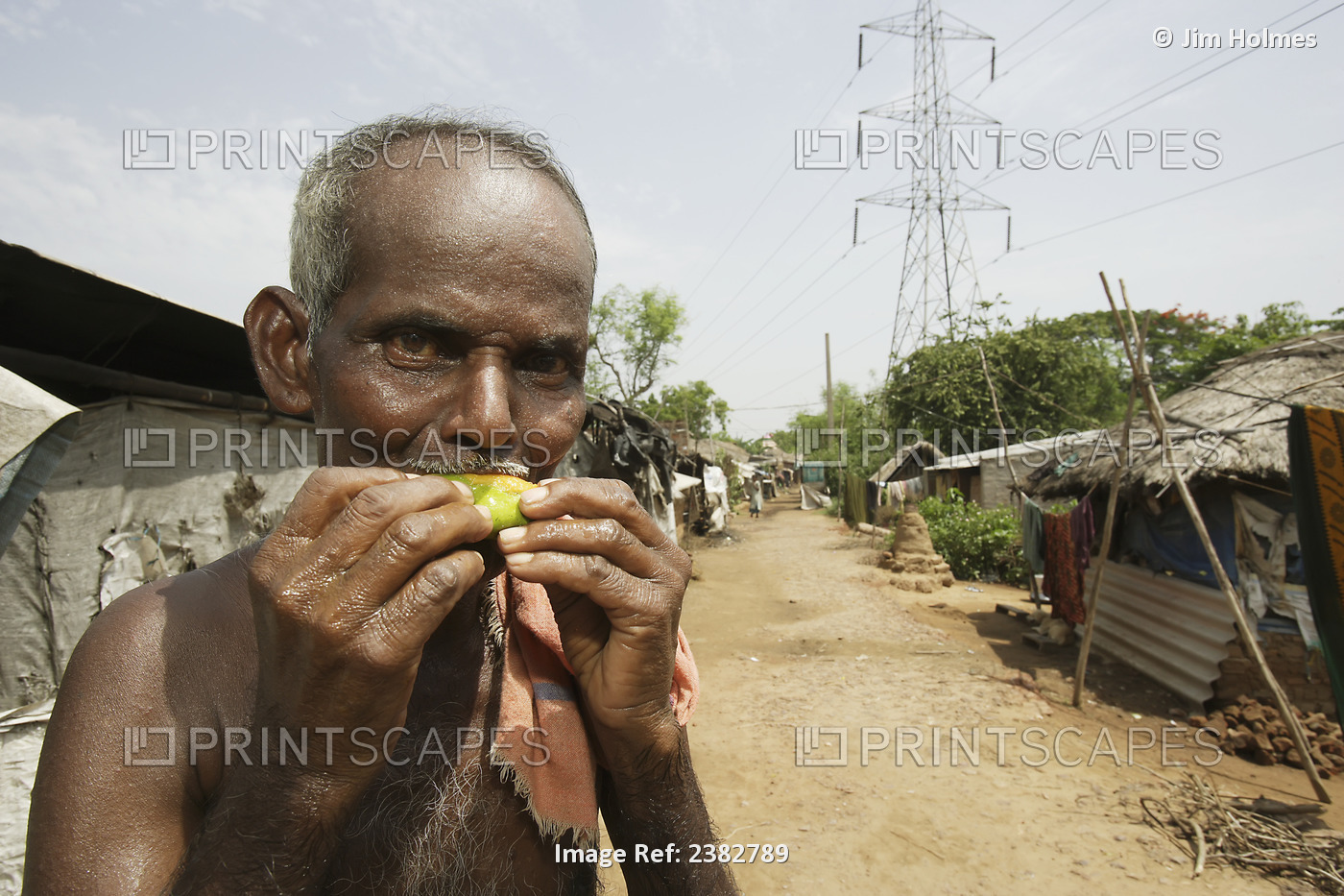 An Elderly Man Eating A Mango, Dobandhanagar Community; Cuttack City, India