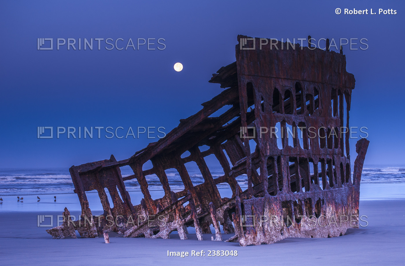 The Moon Sets Over The Wreck Of The Peter Iredale; Oregon, United States Of ...