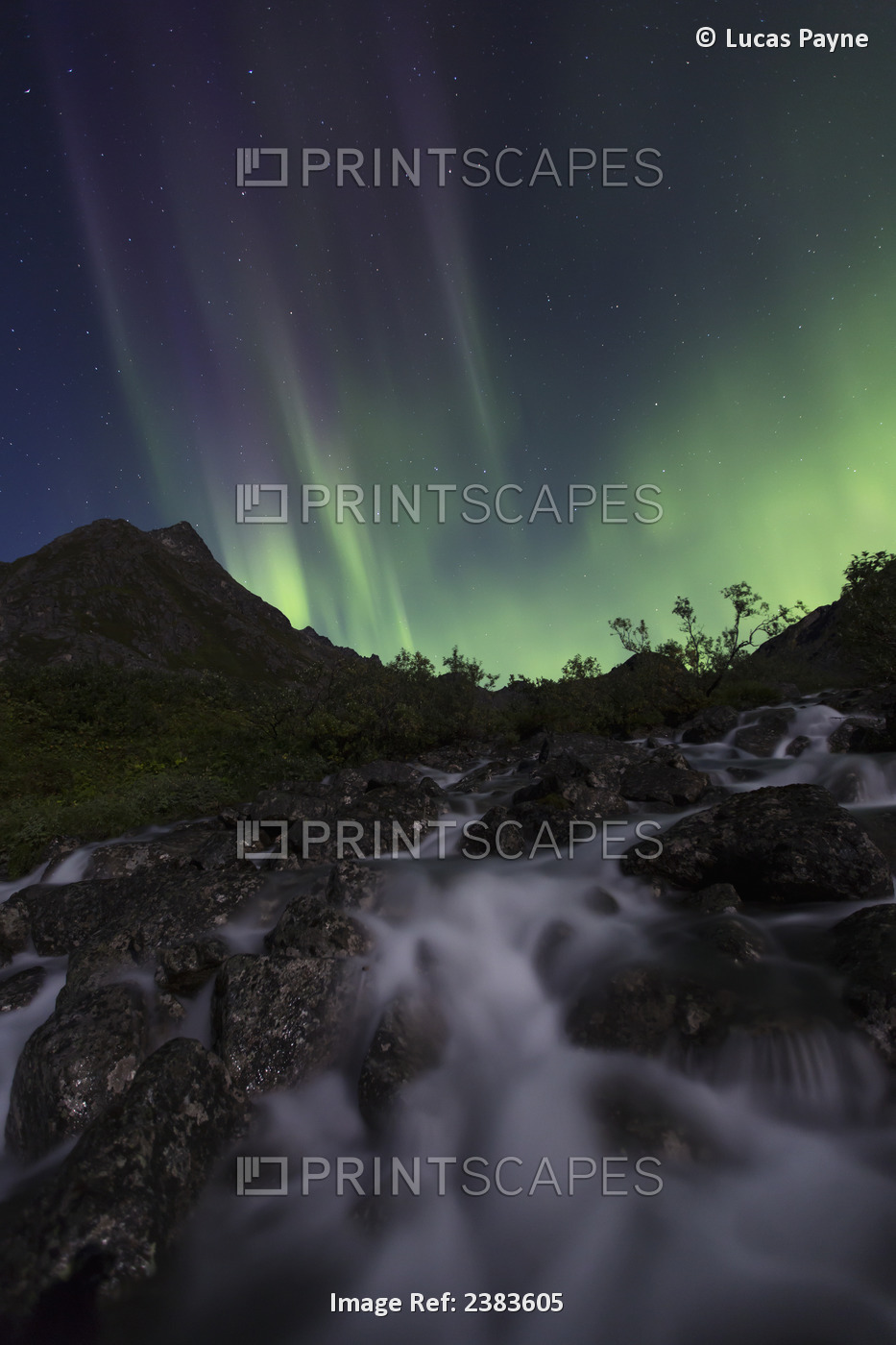 Aurora Borealis (Northern Lights) Dancing Above Archangel Creek And The ...