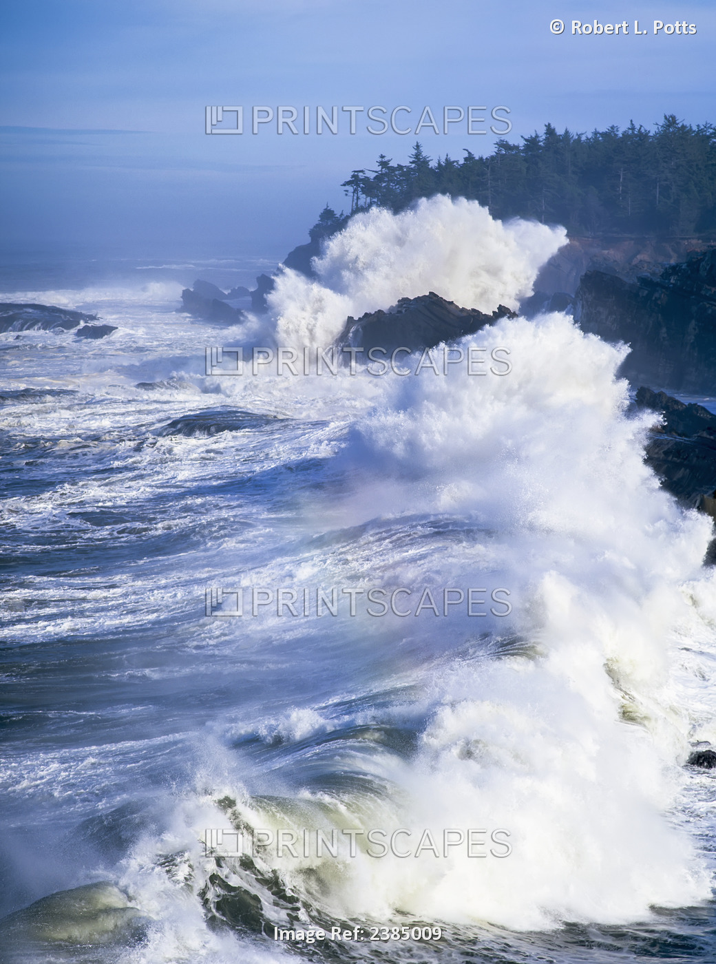Surf Breaks On The Rocks; Charleston, Oregon, United States Of America