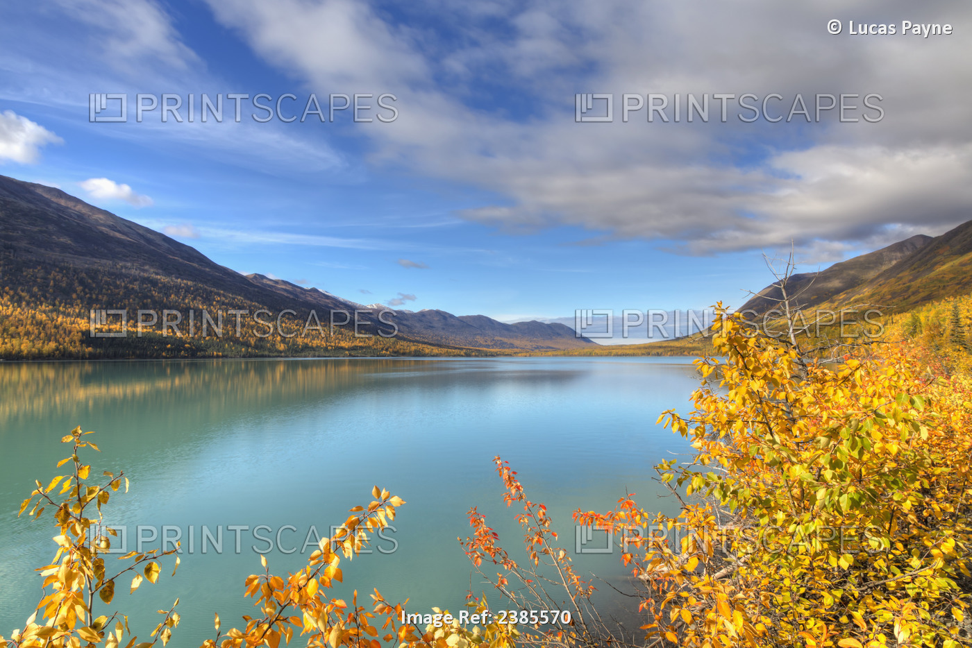 Fall Foliage Along Eklutna Lake In Chugach State Park, Southcentral Alaska, ...