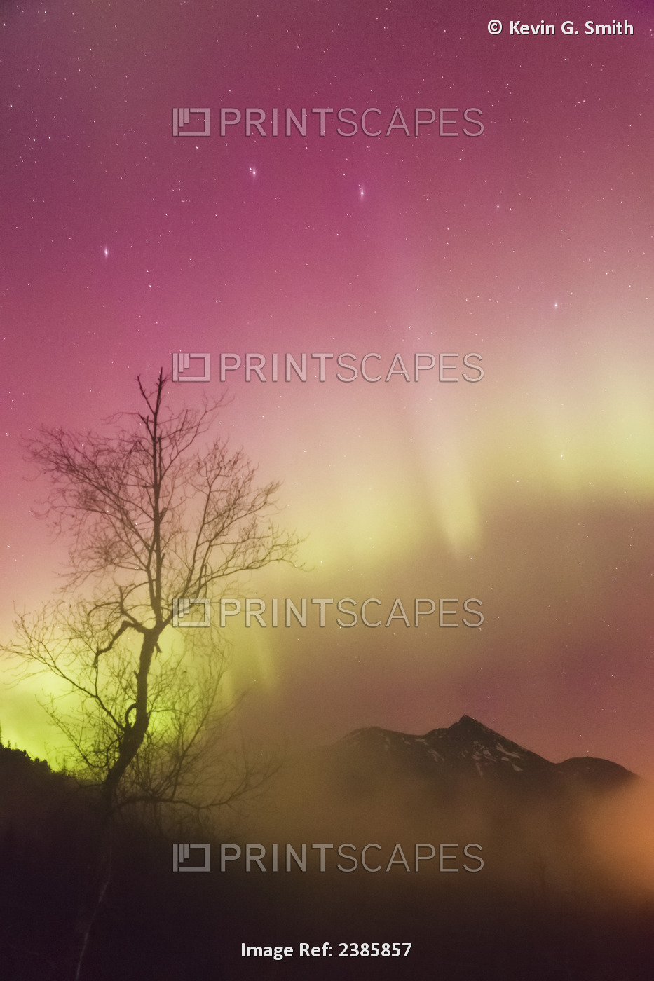 Northern Lights In The Sky Above Moose Pass, Silhouetted Trees And The Kenai ...
