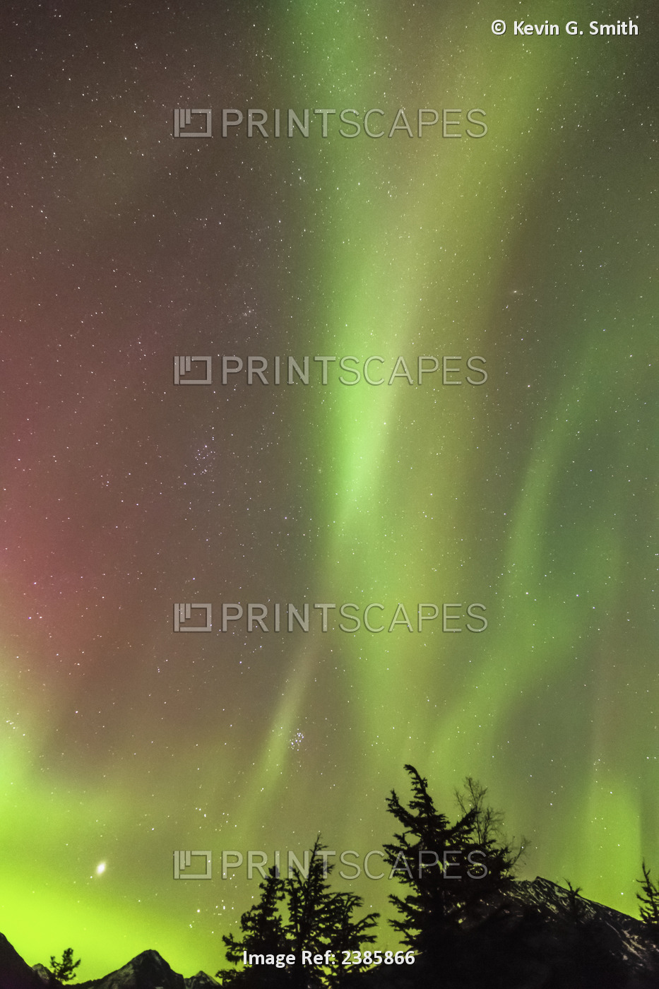 Northern Lights In The Sky Above Moose Pass With Silhouetted Trees In The ...