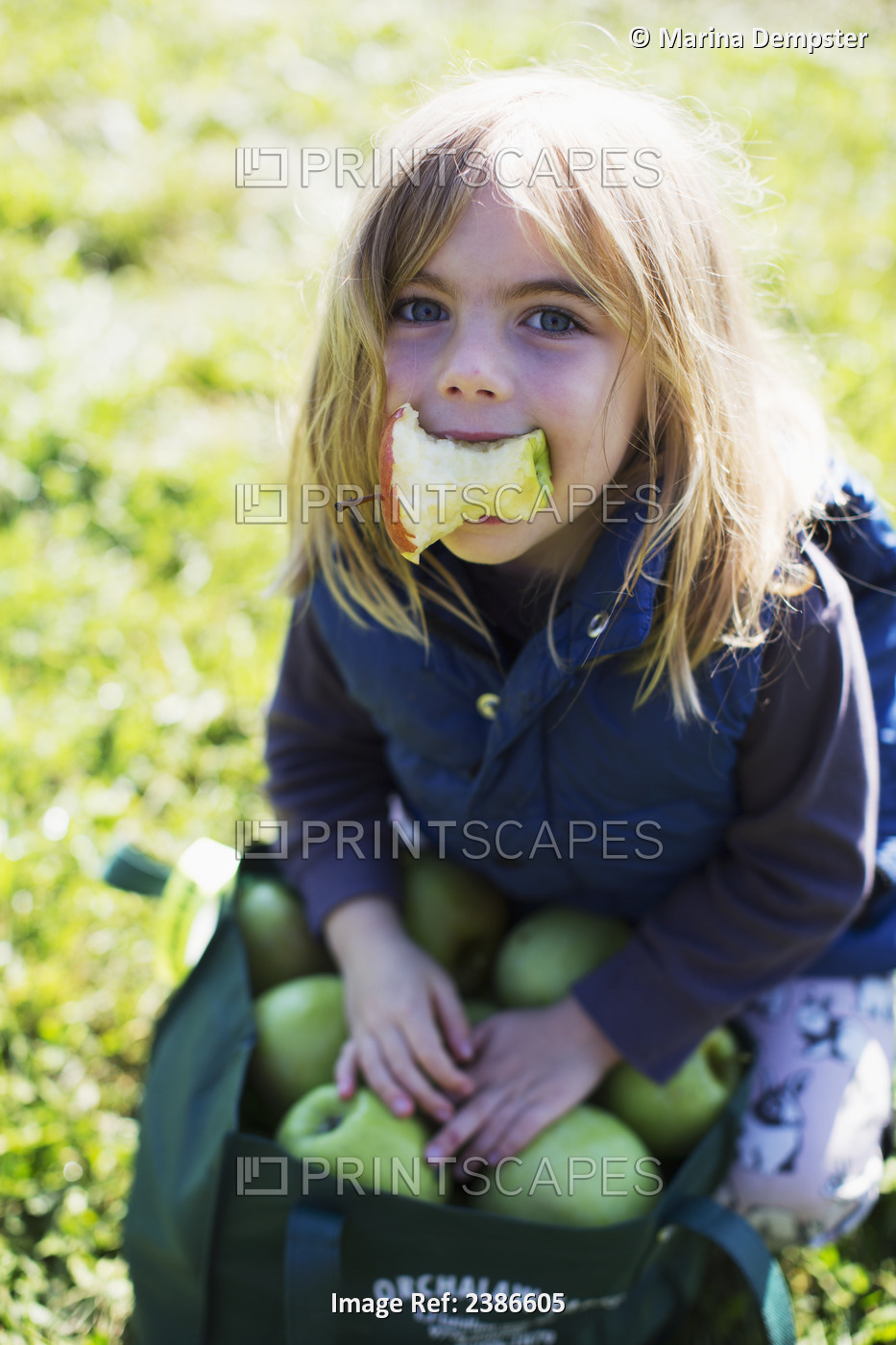 Young Girl With A Bag Of Green Apples And An Apple Core In Her Mouth; Ontario, ...