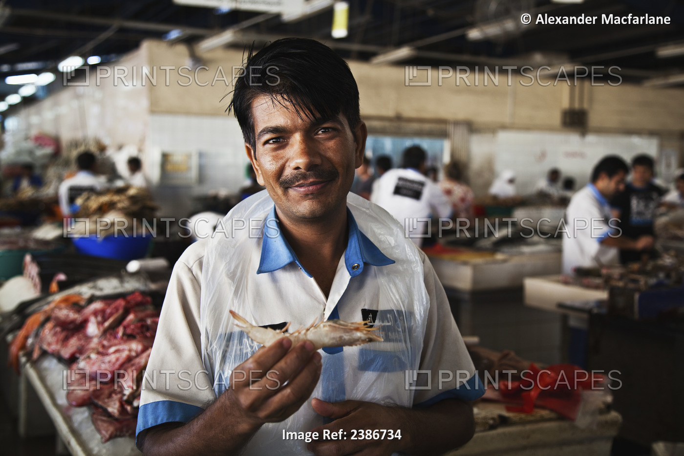 Worker In A Fish Market; Dubai, United Arab Emirates