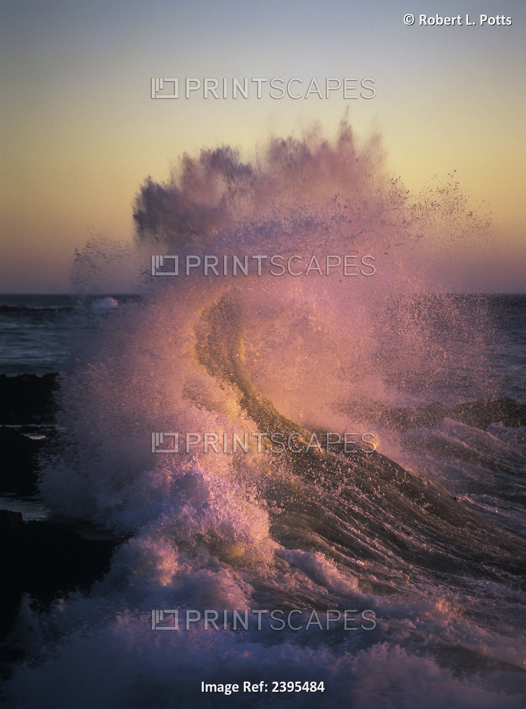A Wave Glowing Pink Breaks On The Shore At Sunset; Yachats, Oregon, United ...