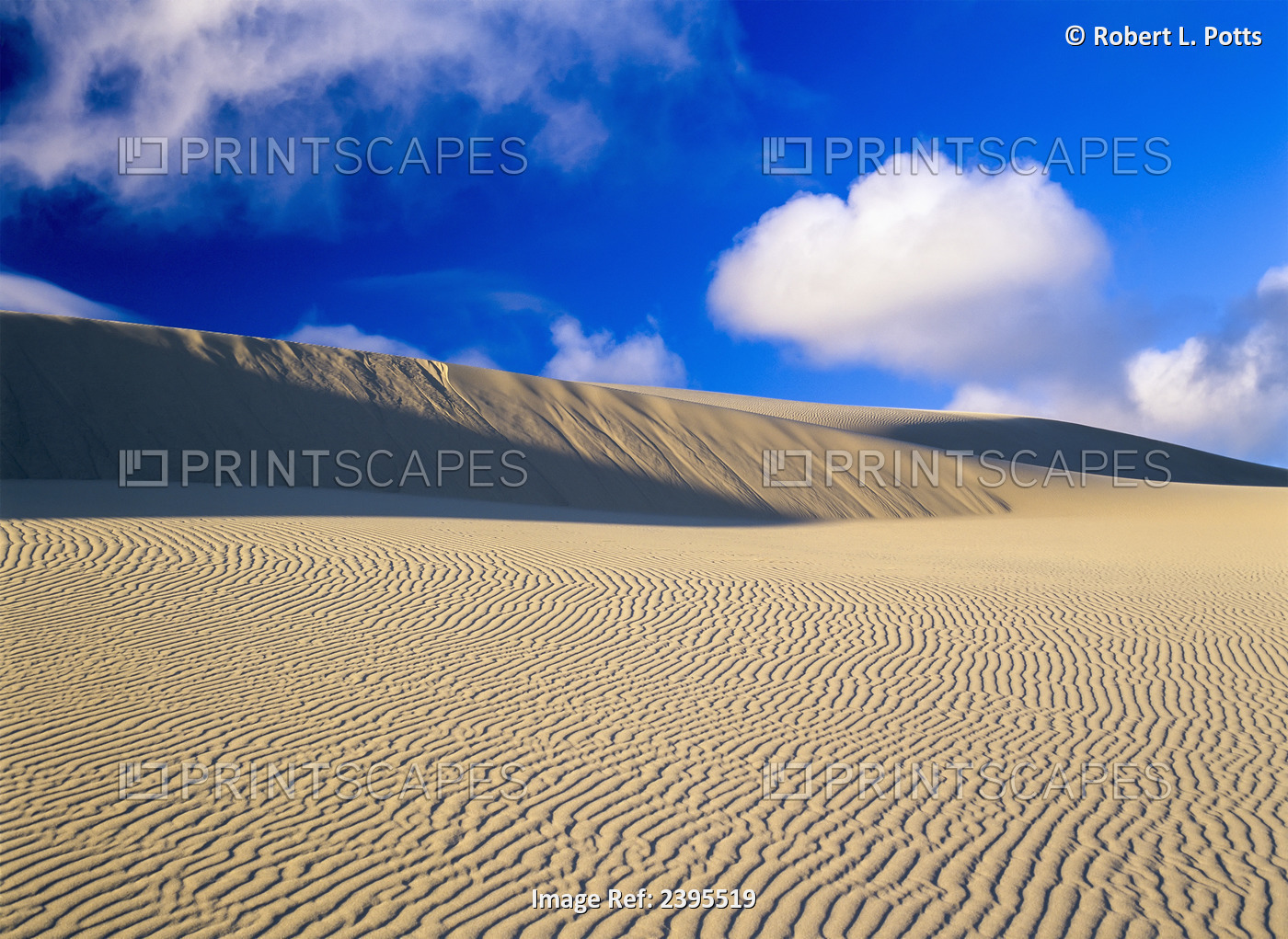 Rippled Sand And Dunes With Blue Sky And Cloud; Lakeside, Oregon, United States ...