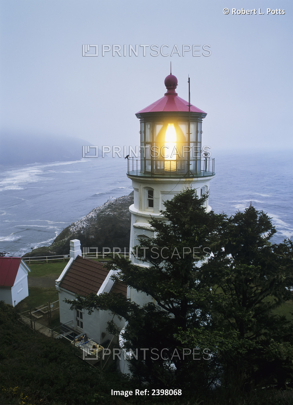 The Heceta Head Lighthouse Flashes On A Foggy Morning; Florence, Oregon, United ...