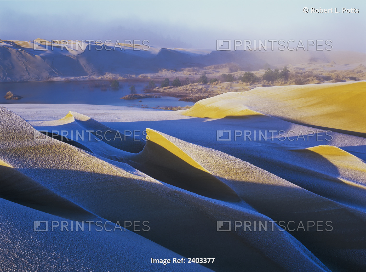 Frost And Sunlight Decorate The Sand Dunes; Lakeside, Oregon, United States Of ...
