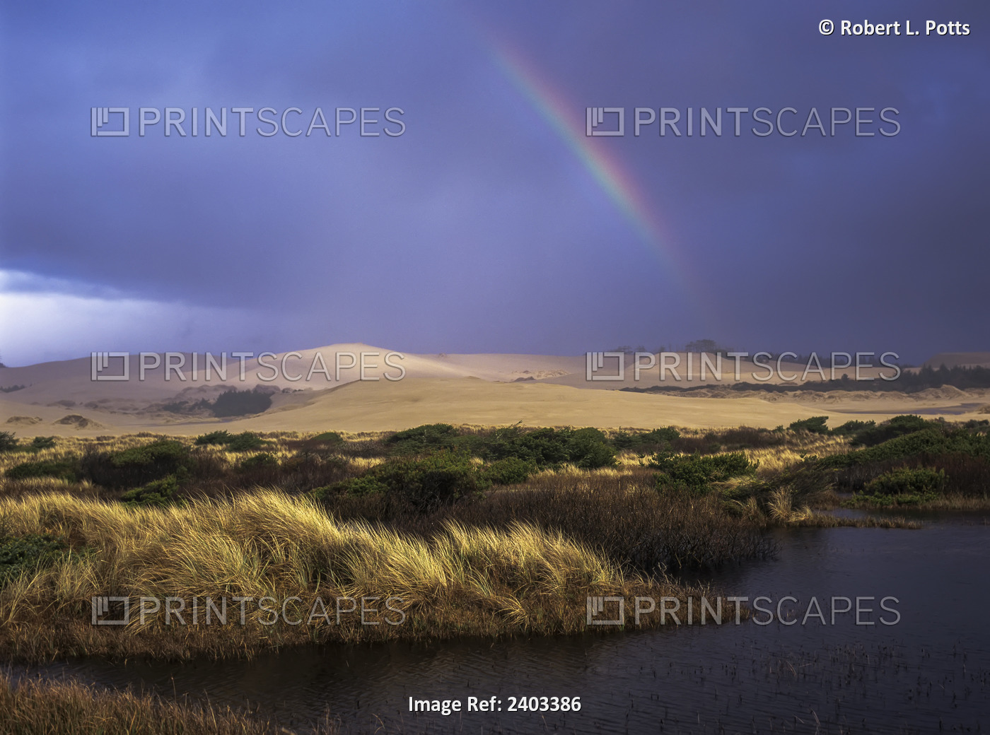 A Rainbow Over The Umpqua Dunes, Oregon Dunes National Recreation Area; Oregon, ...