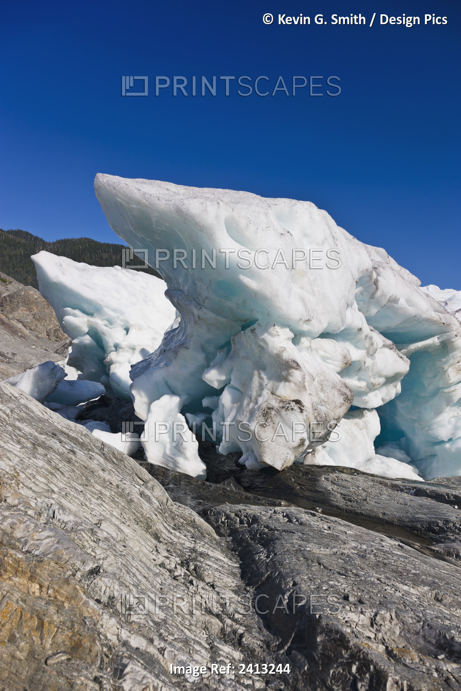 Seracs At The Retreating Edge Of Mendenhall Glacier; Juneau, Alaska, United ...